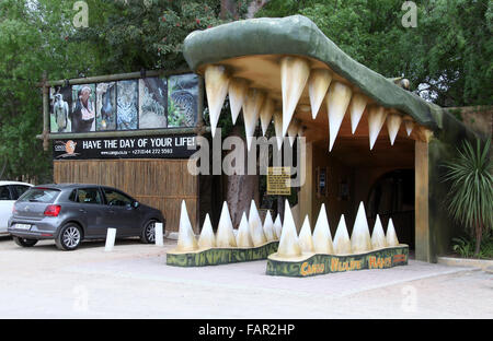 Cango Wildlife Ranch a Oudtshoorn in Sud Africa Foto Stock