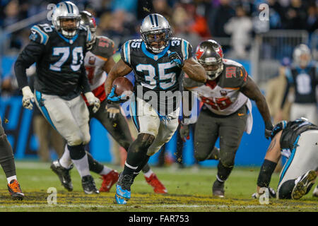 Charlotte, North Carolina, Stati Uniti d'America. 3 gennaio, 2016. NC, Carolina Panthers fullback Mike Tolbert #35 trova un foro nella linea difensiva in un gioco di NFL contro il Tampa Bay Buccaneers del 3 gennaio 2016, presso la Bank of America Stadium di Charlotte, North Carolina. Le Pantere sconfitto Buccaneers 38-10. Margaret Bowles/CSM/Alamy Live News Foto Stock