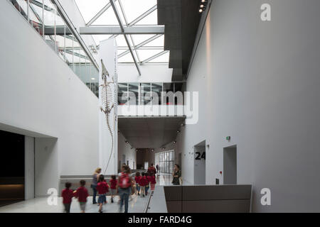 Circolazione interna dello spazio. Il Musée des Confluences, Lione, Francia. Architetto: COOP HIMMELB(L)AU, 2014. Foto Stock