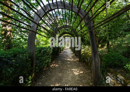 Pergola marciapiede, Les Jardins de Marqueyssac, Vézac, Dordogne, Francia Foto Stock