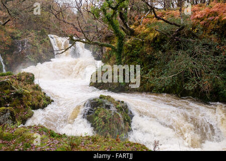 Cascata sul Afon Goedol fiume in piena ondata dopo piogge pesanti piogge nella valle di Ffestiniog in Snowdonia. Wales UK Foto Stock