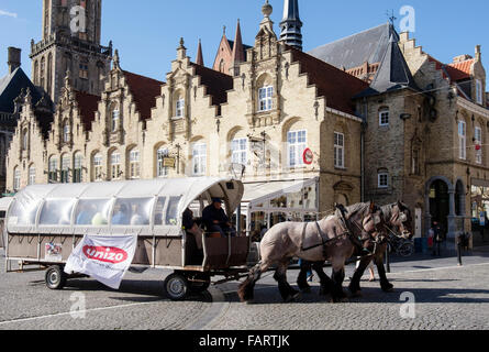 I turisti a cavallo e tour in carrozza nella piazza del mercato. Grote Markt, Veurne, Fiandre Occidentali, Belgio Foto Stock