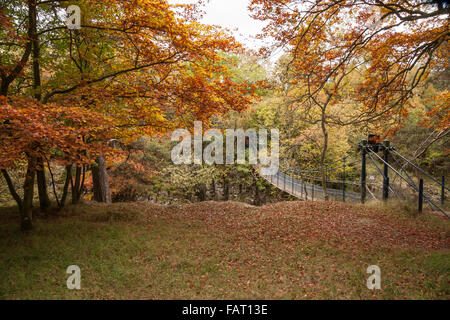 Una vista panoramica del verricello passerella sul Fiume Tees a bassa forza in Inghilterra del nord est con l'autunno alberi colorati Foto Stock