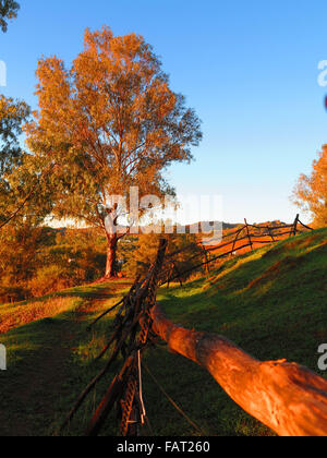 Rustico rurale scherma sul campo collinare vicino a Alora, Andalusia Foto Stock