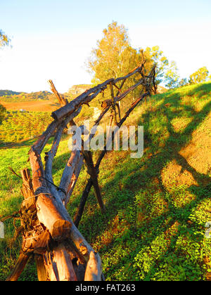 Rustico rurale scherma sul campo collinare vicino a Alora, Andalusia Foto Stock