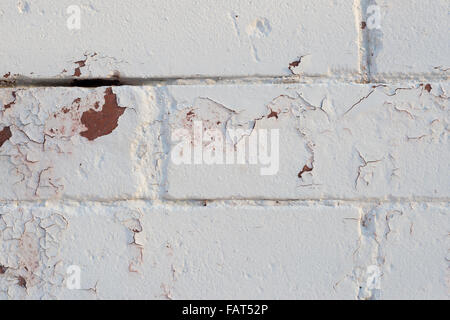 Dettaglio di bianco incrinato e peeling vernice su un rosso muro di mattoni Foto Stock