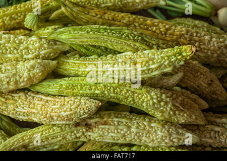 Uno sfondo di bittergourds, altrimenti noto come il melone amaro su un mercato in Sri Lanka. Foto Stock