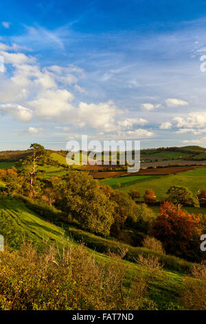 La vista della collina Parrock dal vertice della storica collina Cadbury nel Somerset, Inghilterra, Regno Unito Foto Stock