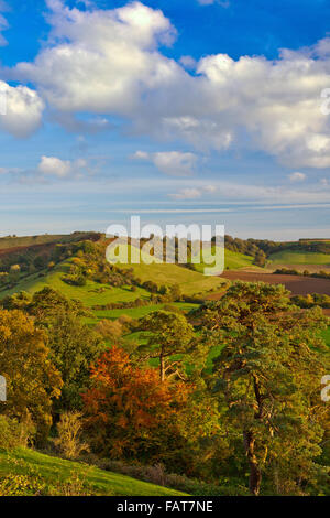 La vista della collina di penna dal vertice della storica collina Cadbury nel Somerset, Inghilterra, Regno Unito Foto Stock