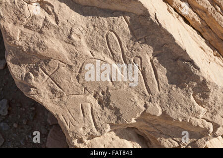 Iscrizioni in Vulture Rock ad ingresso a Wadi Hellal, el Kab, antica Nekheb nel Deserto Orientale Alto Egitto Foto Stock