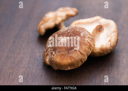 Lentinula edodes. Funghi Shiitake su una tavola di legno. Foto Stock