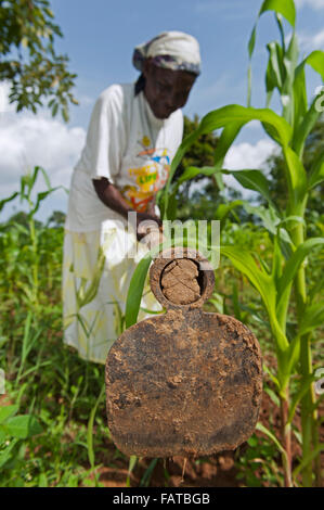 Donna keniota agricoltore ripulendo dalle erbacce nel suo appezzamento di mais, utilizzando una zappa. Kenya. Foto Stock