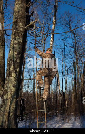 Crossbow hunter salendo una scaletta Foto Stock