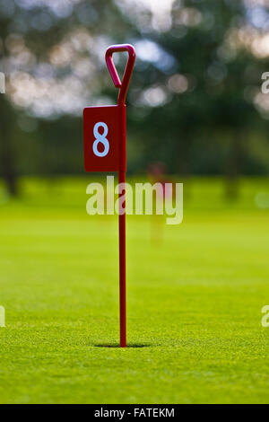 Foro di Golf con bandiera numero 8 Foto Stock