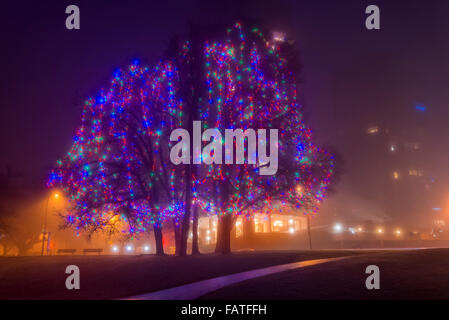 Le luci di Natale a Elm Grove, English Bay, Vancouver, British Columbia, Canada Foto Stock