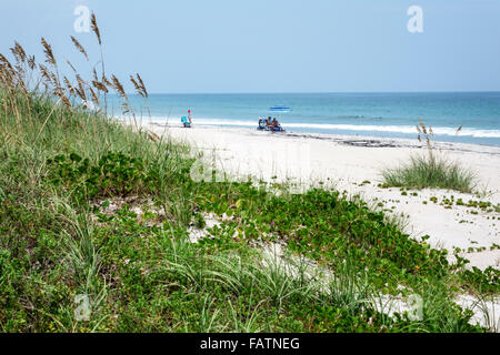 Florida ft. Fort Pierce, Fort Pierce Inlet Water state Park, spiagge, acque dell'Oceano Atlantico, pubblico, sabbia, vegetazione naturale, duna, erba, visitatori trave Foto Stock