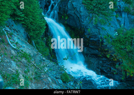 Narada superiore rientrano in Mt Rainier National Park Foto Stock