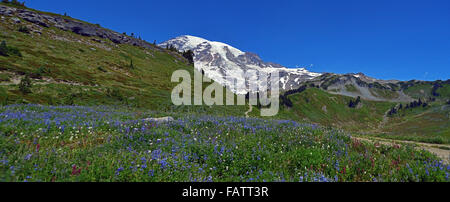 Il sentiero dello skyline di vista panoramica Foto Stock