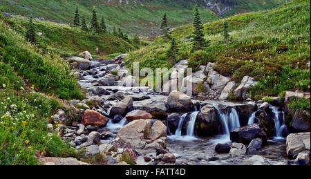 Piccola insenatura della Skyline Trail,Mt Rainier NP Foto Stock