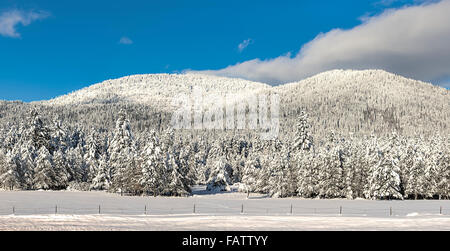 Una panoramica di immagini di strade coperte di neve Rathdrum Mountain in una giornata chiara nel nord Idaho. Foto Stock