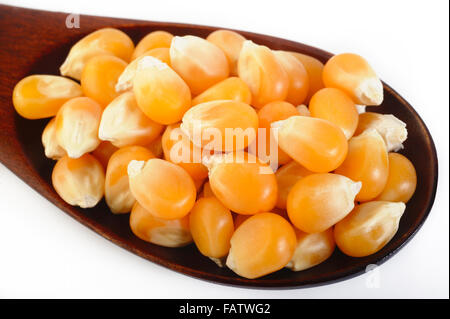Essiccato semi di mais in cucchiaio di legno Foto Stock