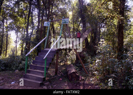 Darjeeling, India. 05 gen 2016. La lava è una piccola cittadina a 34 km ad est da Kalimpong, nel distretto di Darjeeling. La Lava situato nel 7016 piedi (2138 m), è il punto di ingresso di Neora Valley National Park. Il percorso di lava è la Scenic con il cambiamento di vegetazione di latifoglie tropicali per il bagnato alberi alpino di abete, pino e betulla. Un monastero buddista è presente su una delle colline di lava. Siti degni di nota includono Changey cascate e lava Kongtrul Jamgyong Monastero Credito: Saikat Paolo/Pacific Press/Alamy Live News Foto Stock