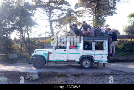 Darjeeling, India. 05 gen 2016. La lava è una piccola cittadina a 34 km ad est da Kalimpong, nel distretto di Darjeeling. La Lava situato nel 7016 piedi (2138 m), è il punto di ingresso di Neora Valley National Park. Il percorso di lava è la Scenic con il cambiamento di vegetazione di latifoglie tropicali per il bagnato alberi alpino di abete, pino e betulla. Un monastero buddista è presente su una delle colline di lava. Siti degni di nota includono Changey cascate e lava Kongtrul Jamgyong Monastero Credito: Saikat Paolo/Pacific Press/Alamy Live News Foto Stock