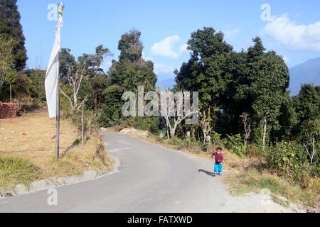 Darjeeling, India. 05 gen 2016. La lava è una piccola cittadina a 34 km ad est da Kalimpong, nel distretto di Darjeeling. La Lava situato nel 7016 piedi (2138 m), è il punto di ingresso di Neora Valley National Park. Il percorso di lava è la Scenic con il cambiamento di vegetazione di latifoglie tropicali per il bagnato alberi alpino di abete, pino e betulla. Un monastero buddista è presente su una delle colline di lava. Siti degni di nota includono Changey cascate e lava Kongtrul Jamgyong Monastero Credito: Saikat Paolo/Pacific Press/Alamy Live News Foto Stock
