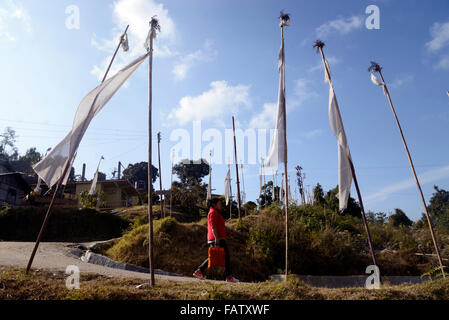 Darjeeling, India. 05 gen 2016. La lava è una piccola cittadina a 34 km ad est da Kalimpong, nel distretto di Darjeeling. La Lava situato nel 7016 piedi (2138 m), è il punto di ingresso di Neora Valley National Park. Il percorso di lava è la Scenic con il cambiamento di vegetazione di latifoglie tropicali per il bagnato alberi alpino di abete, pino e betulla. Un monastero buddista è presente su una delle colline di lava. Siti degni di nota includono Changey cascate e lava Kongtrul Jamgyong Monastero Credito: Saikat Paolo/Pacific Press/Alamy Live News Foto Stock