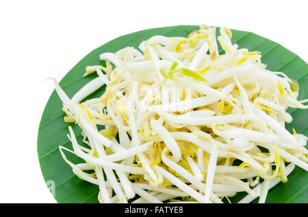 Mung bean germogli su foglia verde isolato su sfondo bianco. Foto Stock