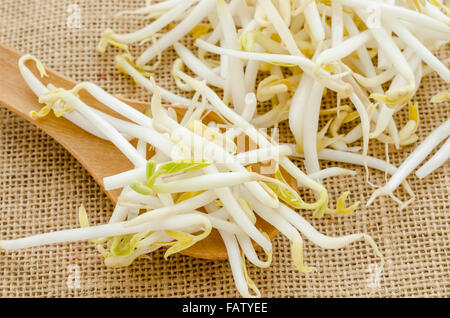 Mung Bean o di germogli di soia sul sacco sfondo. Foto Stock