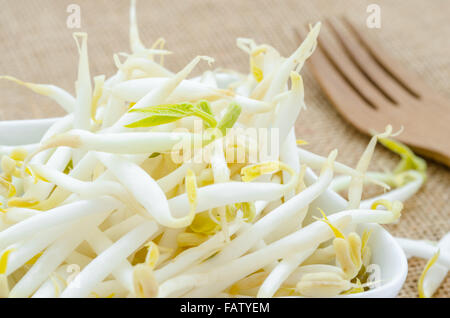 Mung bean i germogli in tazza bianca su sfondo di sacco Foto Stock