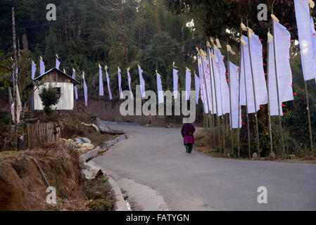 Darjeeling, India. 05 gen 2016. La lava è una piccola cittadina a 34 km ad est da Kalimpong, nel distretto di Darjeeling. La Lava situato nel 7016 piedi (2138 m), è il punto di ingresso di Neora Valley National Park. Il percorso di lava è la Scenic con il cambiamento di vegetazione di latifoglie tropicali per il bagnato alberi alpino di abete, pino e betulla. Un monastero buddista è presente su una delle colline di lava. Siti degni di nota includono Changey cascate e lava Kongtrul Jamgyong Monastero Credito: Saikat Paolo/Pacific Press/Alamy Live News Foto Stock