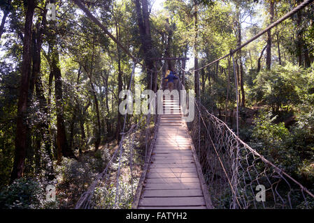 Darjeeling, India. 05 gen 2016. La lava è una piccola cittadina a 34 km ad est da Kalimpong, nel distretto di Darjeeling. La Lava situato nel 7016 piedi (2138 m), è il punto di ingresso di Neora Valley National Park. Il percorso di lava è la Scenic con il cambiamento di vegetazione di latifoglie tropicali per il bagnato alberi alpino di abete, pino e betulla. Un monastero buddista è presente su una delle colline di lava. Siti degni di nota includono Changey cascate e lava Kongtrul Jamgyong Monastero Credito: Saikat Paolo/Pacific Press/Alamy Live News Foto Stock
