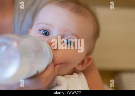 I giovani baby boy formula bere latte da una bottiglia modello di rilascio: Sì. Proprietà di rilascio: No. Foto Stock