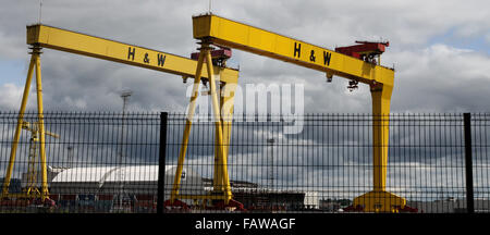 Le gru del porto di H & W Belfast Harland e le leggendarie gru gialle di Wolff, Samson (la più alta) e Goliath, furono costruite da Krupp. Foto Stock