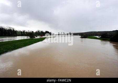 Alfriston, Sussex, Regno Unito. 5 gennaio 2016. Inondazioni a Alfriston in East Sussex dove il fiume Cuckmere ha scoppiare le sue banche . Le previsioni meteo per pioggia per trasportare sul rientrante nel corso dei prossimi dodici ore nella zona causando più problemi Credito: Simon Dack/Alamy Live News Foto Stock