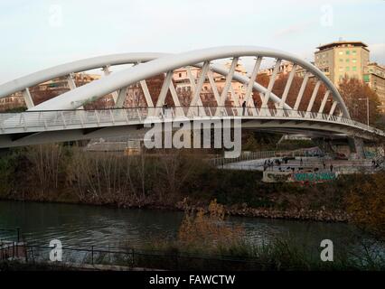 AJAXNETPHOTO. 2015. Roma, Italia. - Acciaio ARCH BRIDGE - IL PONTE DELLA MUSICA di pedoni e di trasporti pubblici ponte sopra il fiume Tevere che collega il Foro Italico e quartieri FLAMINIO. Foto:JONATHAN EASTLAND/AJAX REF:GX151012 75741 Foto Stock