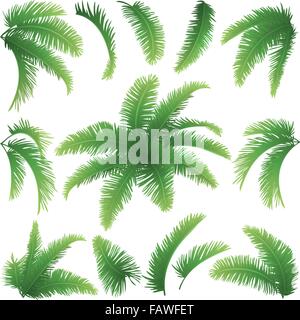 Rami di palme Illustrazione Vettoriale