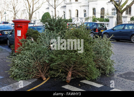 Scartare gli alberi di Natale a sinistra in strada, Londra England Regno Unito Regno Unito Foto Stock