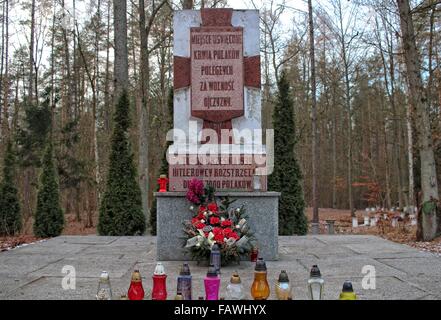 Szpegawsk, Polonia 5th, Gennaio 2015 nella foresta vicino Szpegawsk, Polonia settentrionale (Las Szpegawski) Nazisti tedeschi sterminati vicino a 7000 Polacco e inhibitians ebraica di Starogard Gdanski e Kociewie e regioni di Pomerania. Le vittime sono state sepolte in massa di 39 box. Gli attivisti nazionali, insegnanti, sacerdoti, di intellettuali e di ospedale psichiatrico in Kocborowo pazienti sono stati assassinati in Szpegawski foresta. Credito: Michal Fludra/Alamy Live News Foto Stock