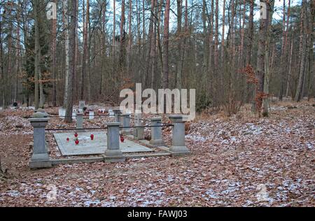 Szpegawsk, Polonia 5th, Gennaio 2015 nella foresta vicino Szpegawsk, Polonia settentrionale (Las Szpegawski) Nazisti tedeschi sterminati vicino a 7000 Polacco e inhibitians ebraica di Starogard Gdanski e Kociewie e regioni di Pomerania. Le vittime sono state sepolte in massa di 39 box. Gli attivisti nazionali, insegnanti, sacerdoti, di intellettuali e di ospedale psichiatrico in Kocborowo pazienti sono stati assassinati in Szpegawski foresta. Credito: Michal Fludra/Alamy Live News Foto Stock