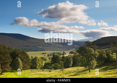 Mar Lodge Estate con il fiume Dee, vicino a Braemar, Deeside, Aberdeenshire, Scozia. All'interno di Cairngorms National Park. Foto Stock