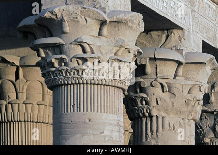 A forma di papiro di colonne del Tempio di Kom Ombo, Egitto Foto Stock