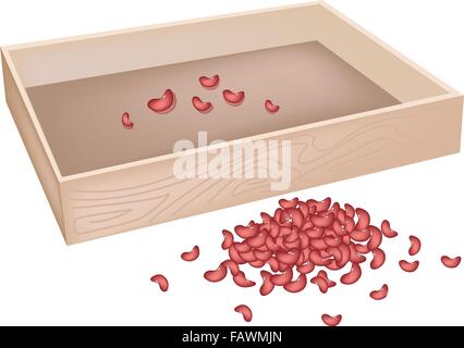 Illustrazione di un mucchio di rene di fave secche con scatola di legno isolato su sfondo bianco Illustrazione Vettoriale