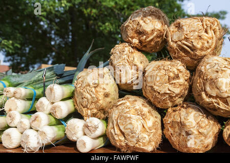 I porri e il sedano root al mercato agricolo; Rochester, Minnesota, Stati Uniti d'America Foto Stock