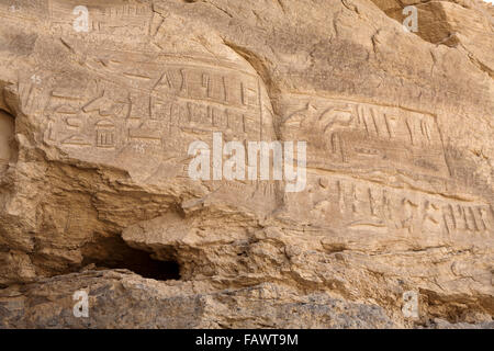 Iscrizioni su roccia avvoltoio all ingresso di Wadi Hellal, el Kab, antica Nekheb nel Deserto Orientale Alto Egitto Foto Stock