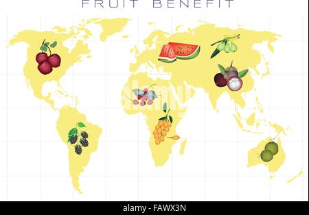 Vantaggi di cibo, una mappa di vario genere di frutta di produzione e di distribuzione su scala globale Illustrazione Vettoriale