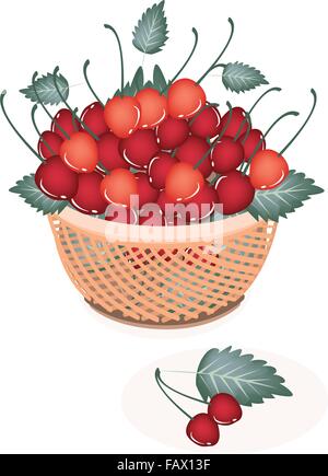 Frutta fresca, rosso fresco e ciliegie dolci con il gambo e le foglie verdi su un bel cesto di vimini Illustrazione Vettoriale