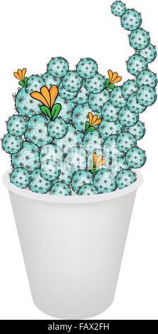 Illustrazione della pianta di cactus e fiori in un vaso per giardino decorazione, isolati su sfondo bianco Illustrazione Vettoriale